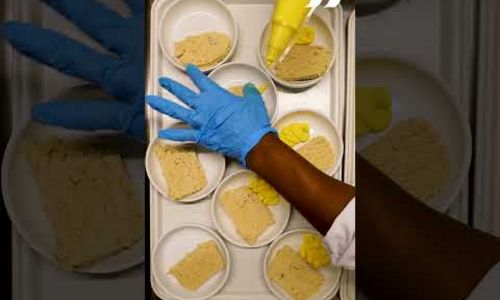 Ici, on cuisine ! Menu d'hiver : terrine Océane