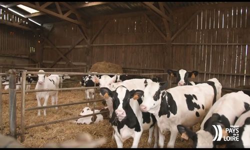 Fermes bas carbone : la Région accompagne les agriculteurs vers leurs projets de biodiversité