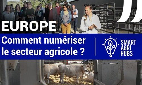 Smart Agri Hubs : comment numériser le secteur agricole et alimentaire européen ?